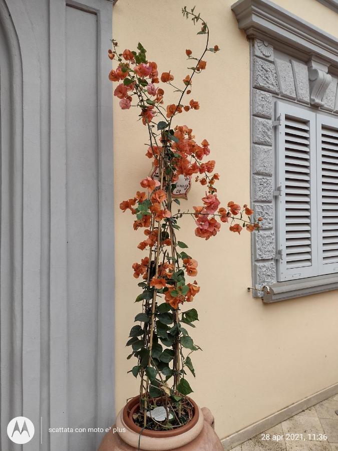 Apartamento Bercos Deluxe Prato  Exterior foto