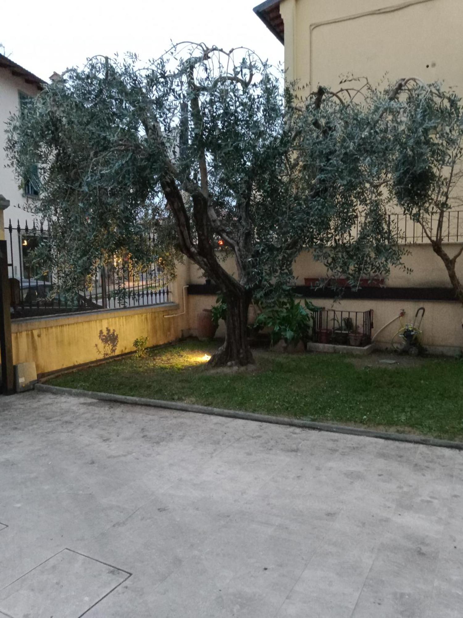 Apartamento Bercos Deluxe Prato  Exterior foto